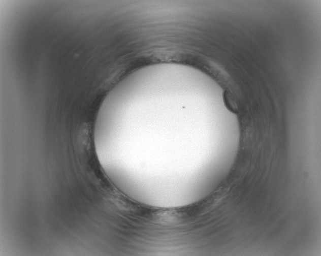 X0000063490121200602172102