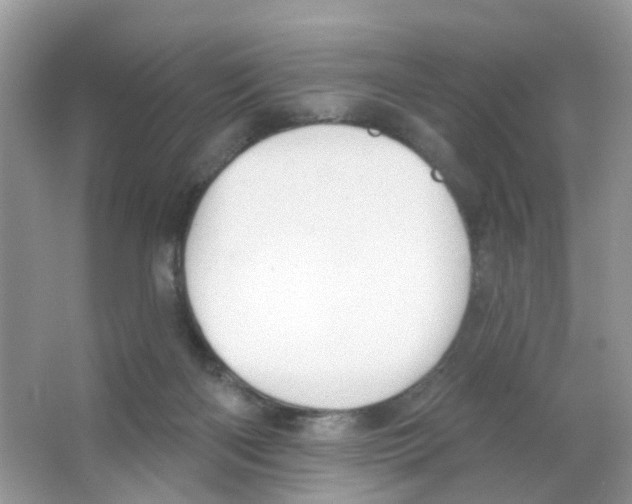 X0000063490122200602172102