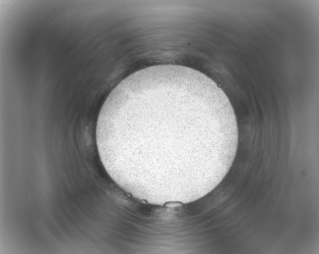 X0000063490131200602172102