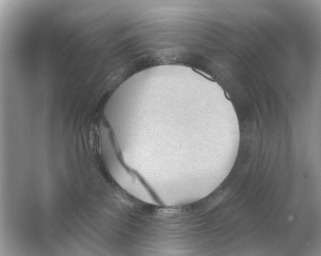 X0000063490139200602172102