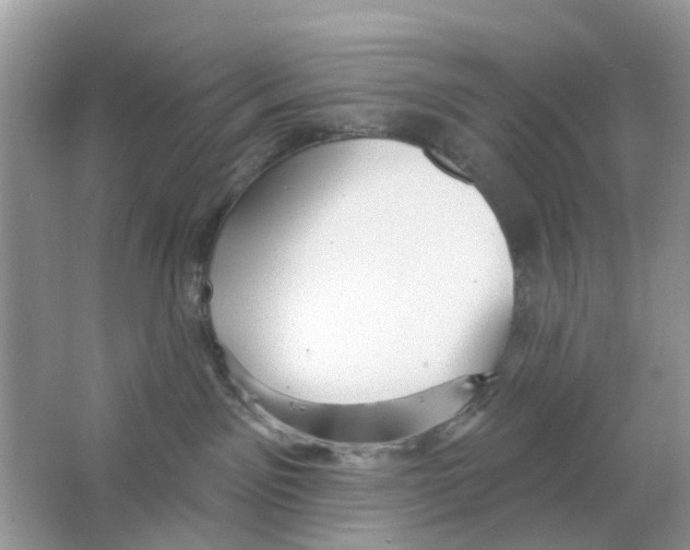 X0000063490141200602172102