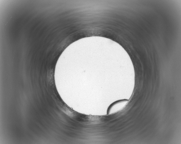 X0000063490144200602172101