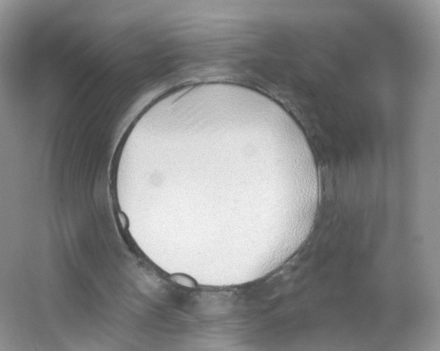 X0000063490147200602172101