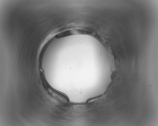 X0000063490150200602172101