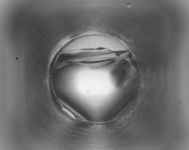 X0000063490152200602172101