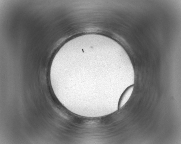 X0000063490155200602172101