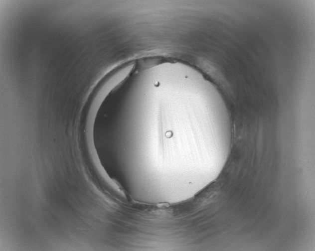 X0000063490156200602172101