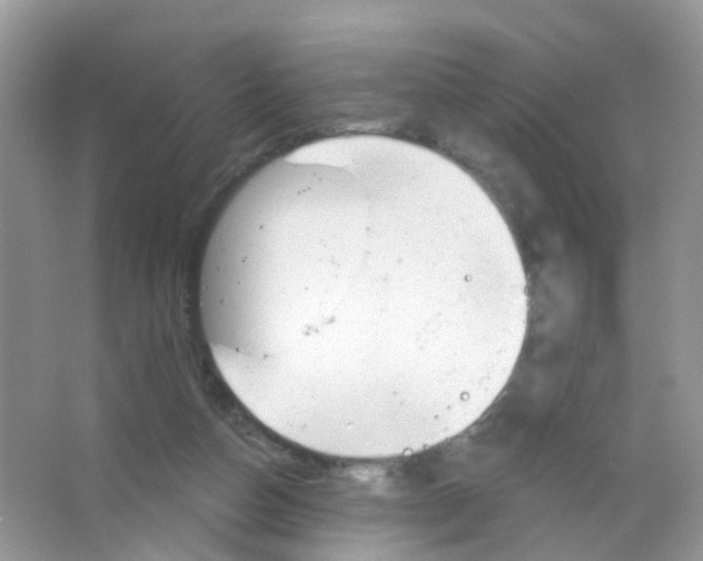 X0000063490162200602172101