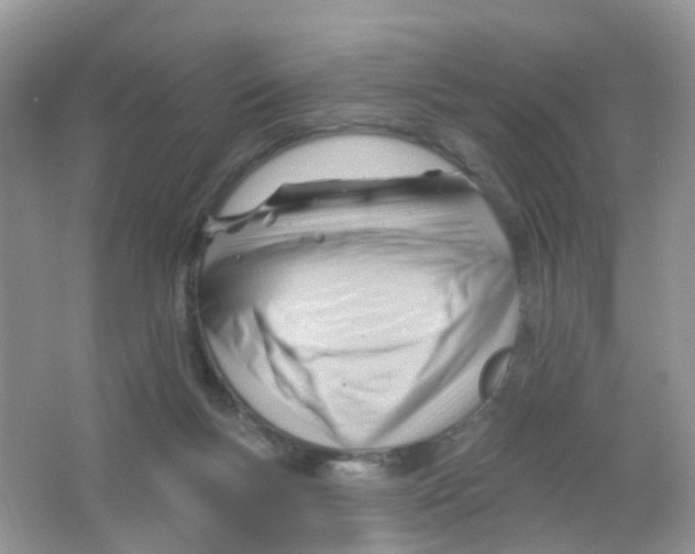 X0000063490167200602172101