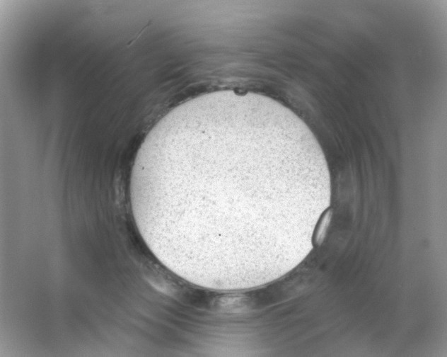 X0000063490173200602172101