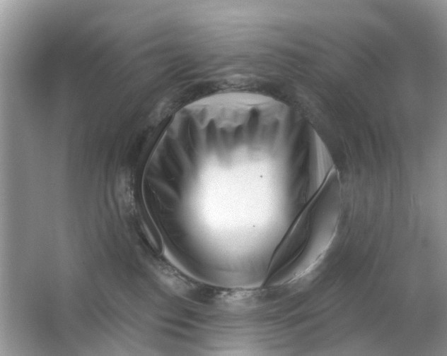 X0000063490186200602172101