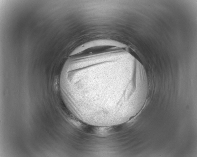 X0000063490191200602172101