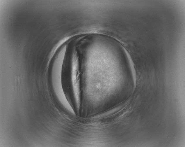 X0000063490200200602172100