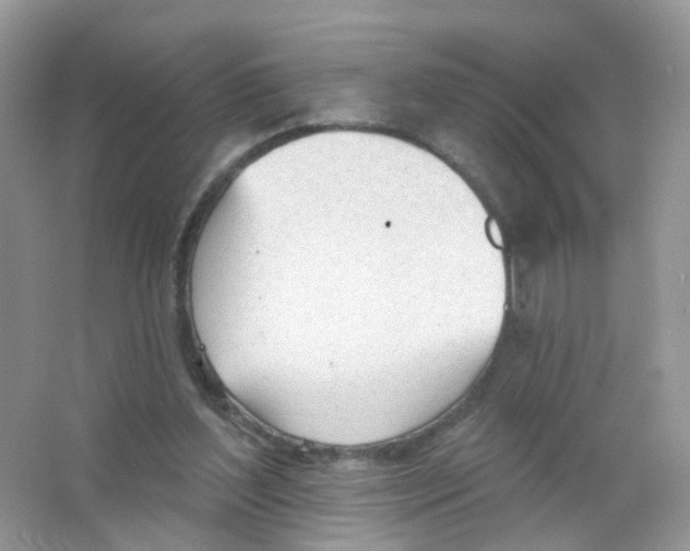 X0000063490204200602172100