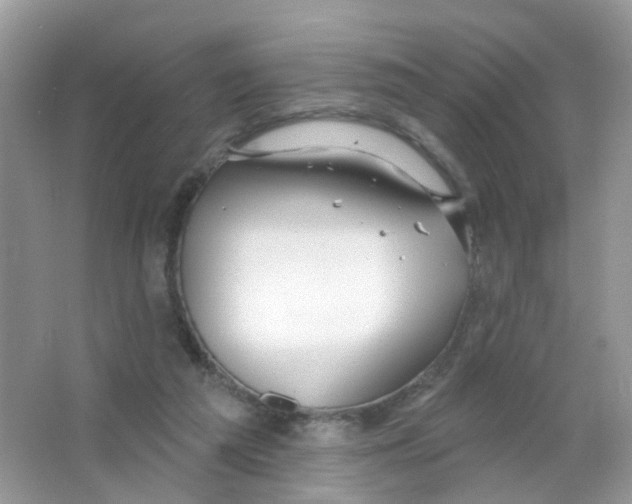 X0000063490209200602172100