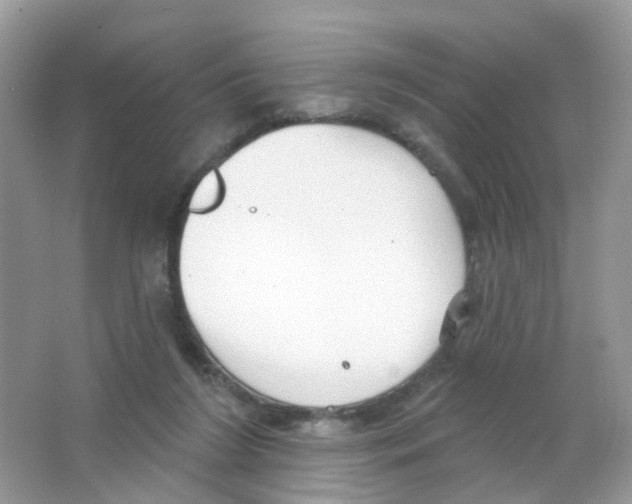 X0000063490212200602172100