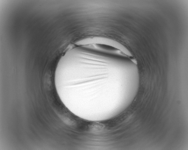 X0000063490215200602172100