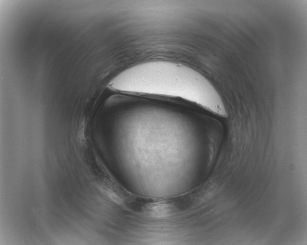 X0000063490219200602172100