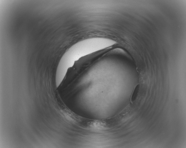 X0000063490223200602172100