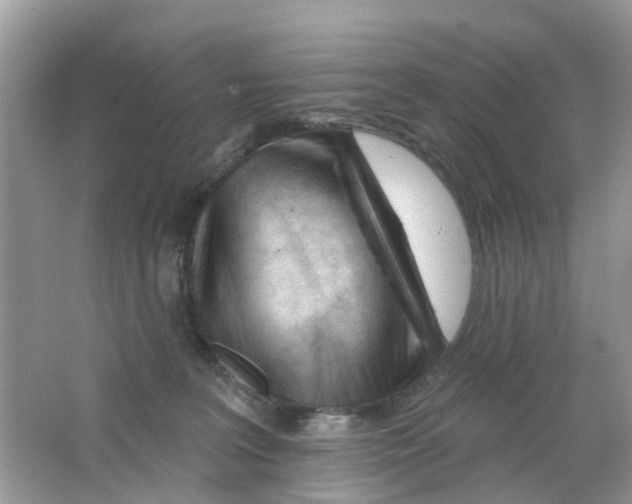 X0000063490227200602172100