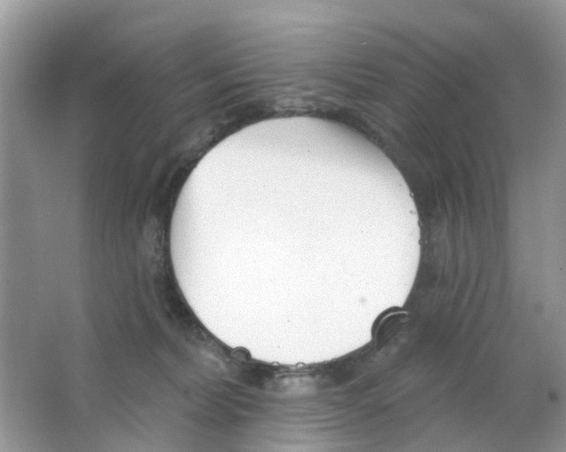 X0000063490228200602172100