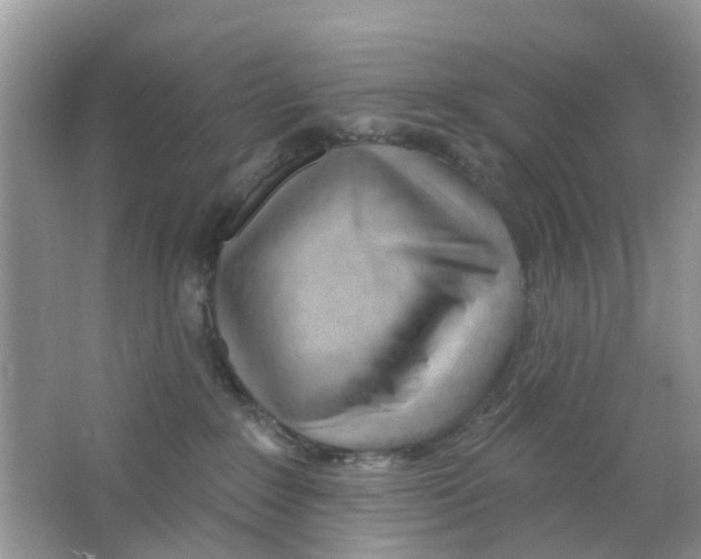 X0000063490235200602172100