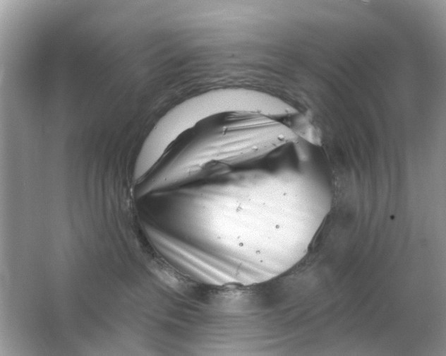 X0000063490237200602172100