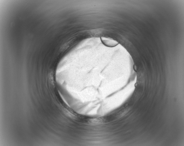 X0000063490238200602172100