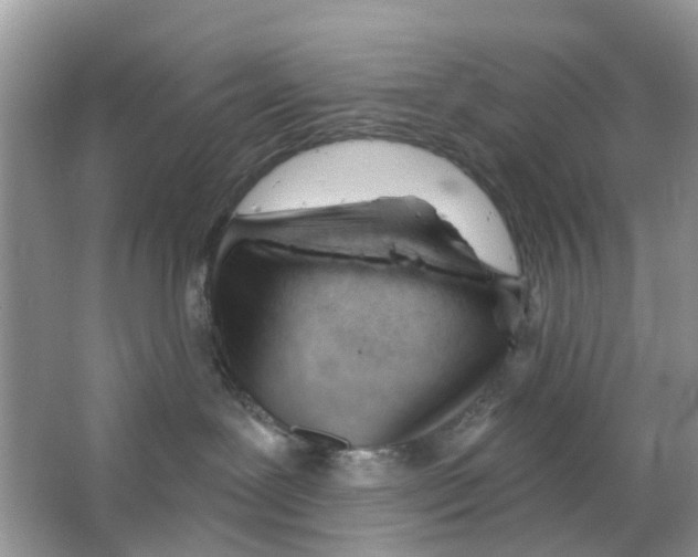 X0000063490239200602172100