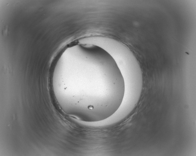 X0000063490244200602172059