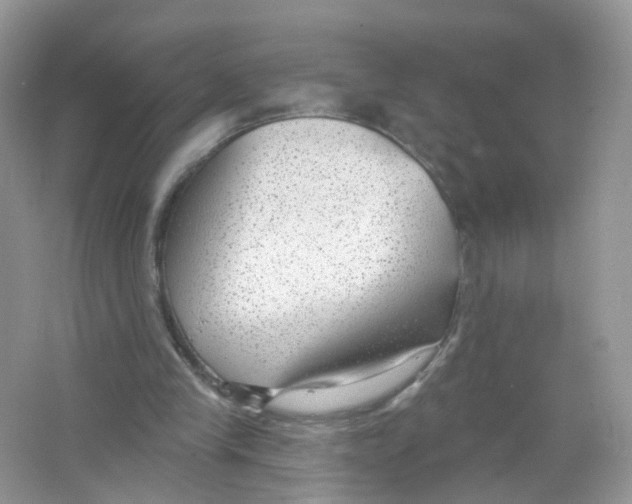 X0000063490245200602172059