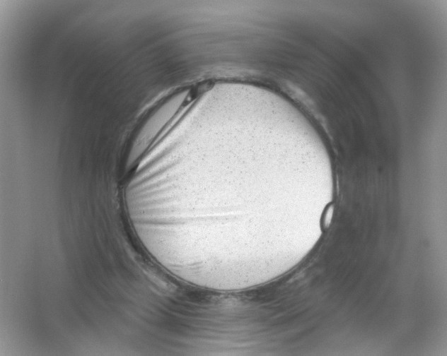 X0000063490249200602172059