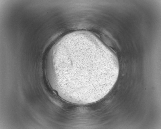 X0000063490250200602172059