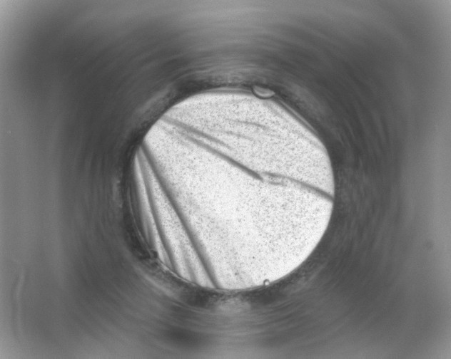 X0000063490258200602172059