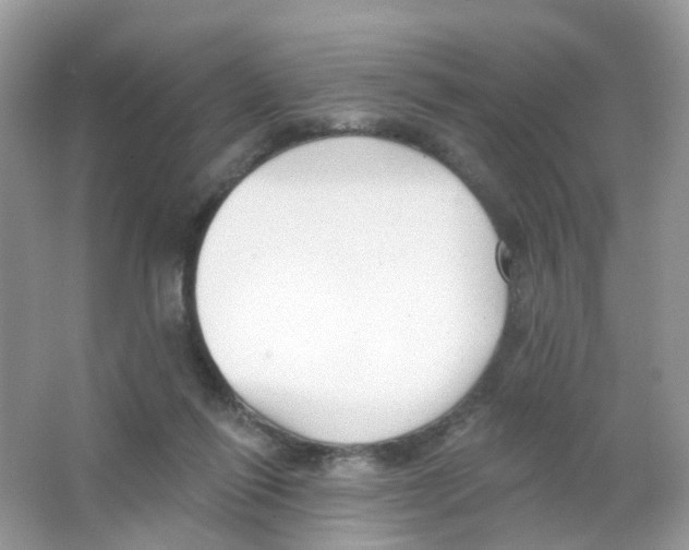 X0000063490262200602172059