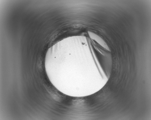 X0000063490266200602172059