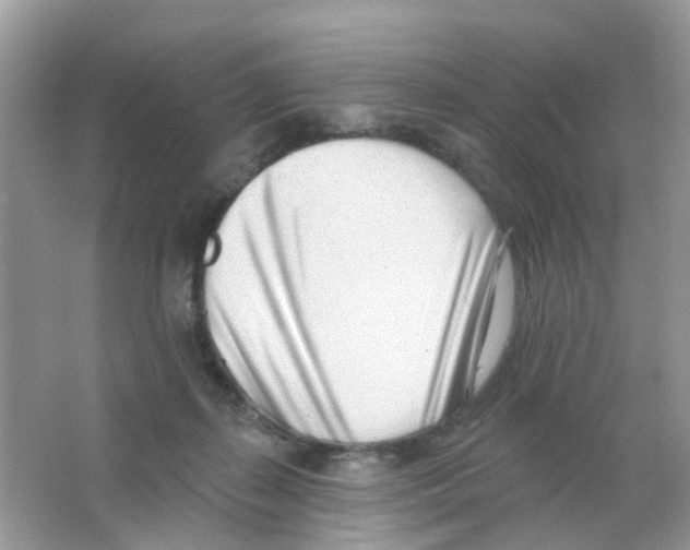 X0000063490267200602172059