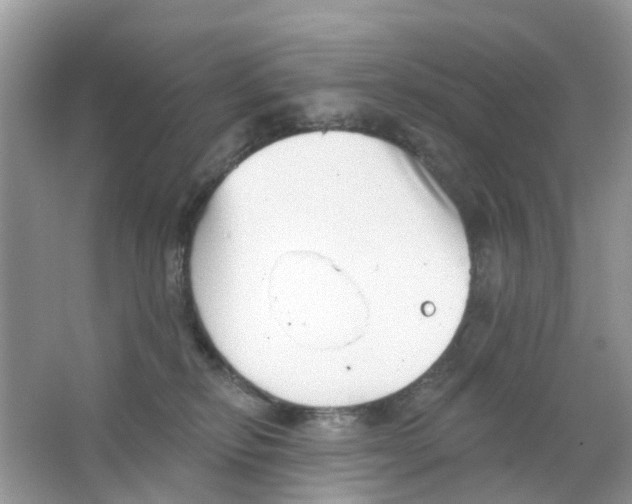 X0000063490278200602172059