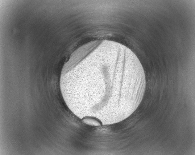 X0000063490283200602172100