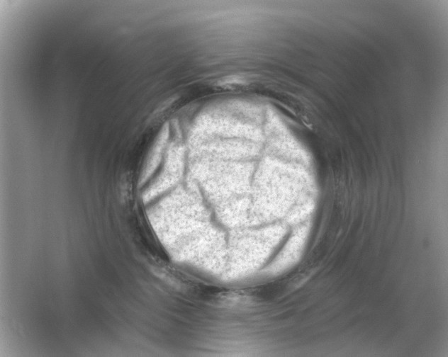 X0000063490284200602172100