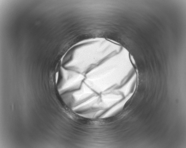 X0000063490286200602172100