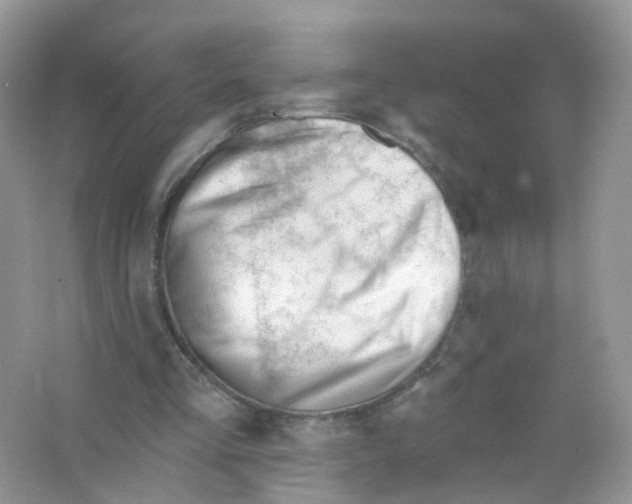 X0000063490293200602172059