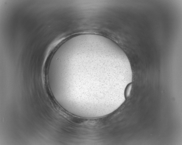 X0000063490294200602172059