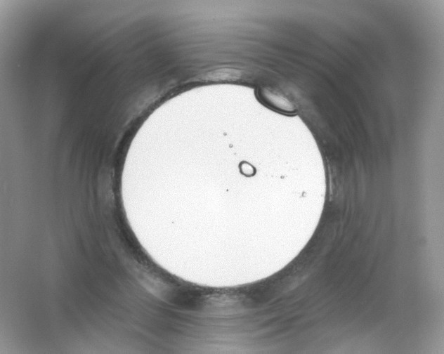 X0000063490300200602172059