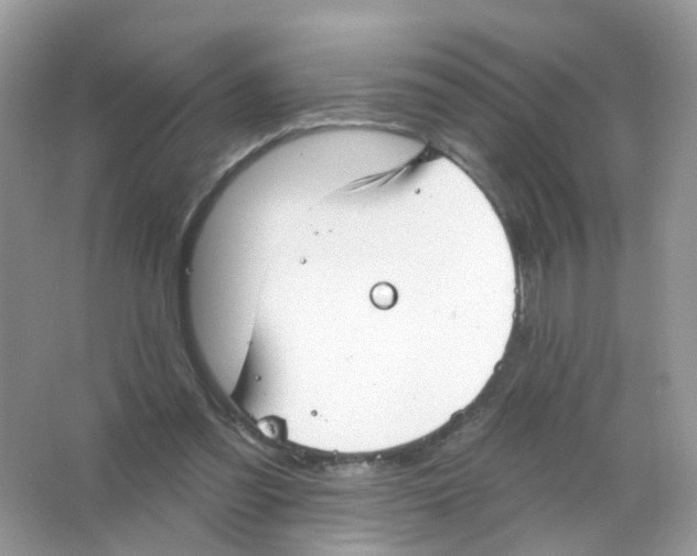 X0000063490301200602172059