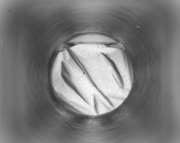 X0000063490303200602172059