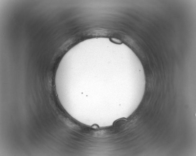 X0000063490309200602172058