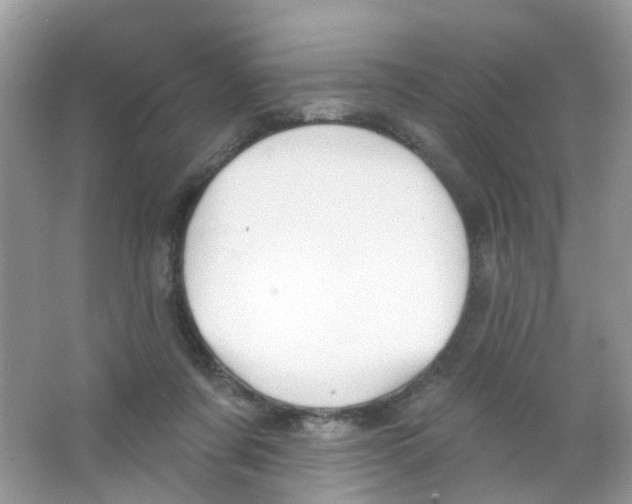 X0000063490311200602172058