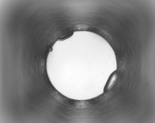 X0000063490321200602172058