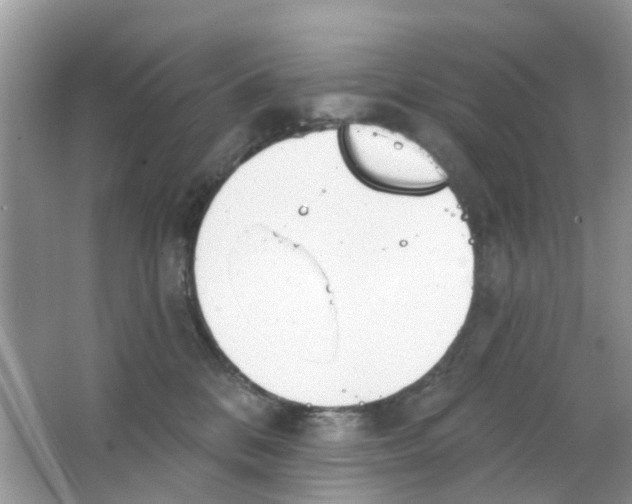 X0000063490328200602172058